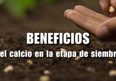 Beneficios