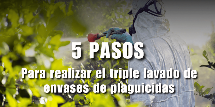 5 pasos para realizar el triple lavado de envases de plaguicidas