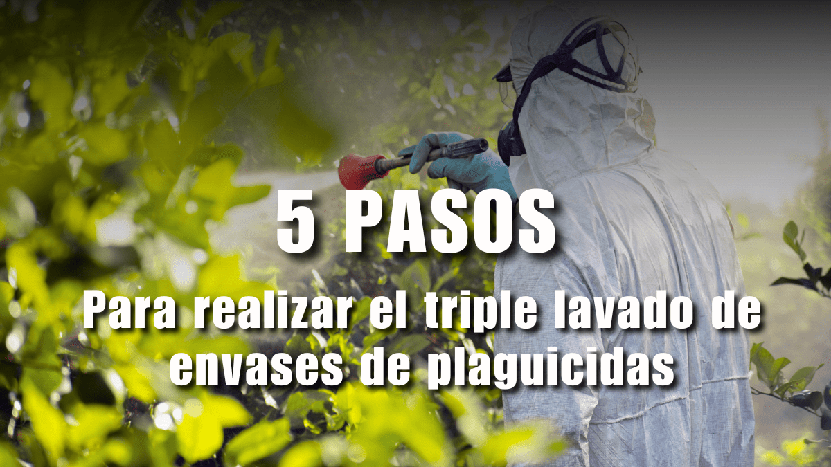 5 pasos para realizar el triple lavado de envases de plaguicidas