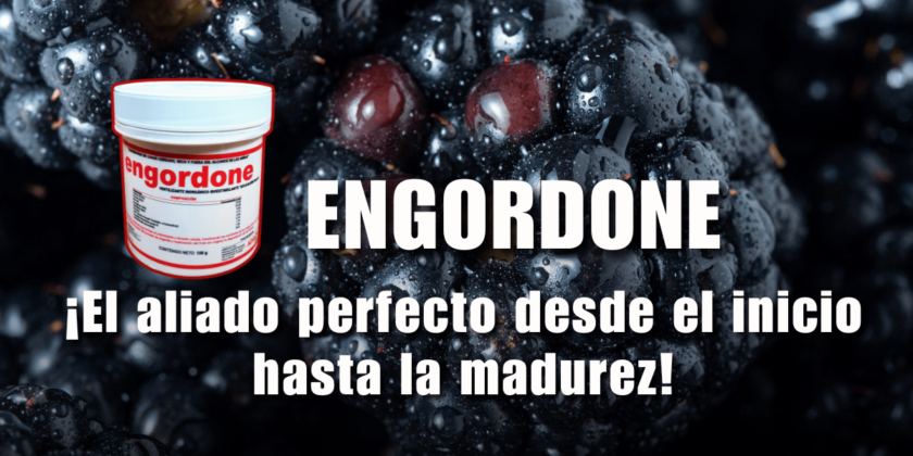 ¿Sabías que puedes aplicar el producto Engordone en la etapa de inicio y maduración del fruto?