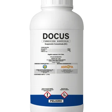 Docus