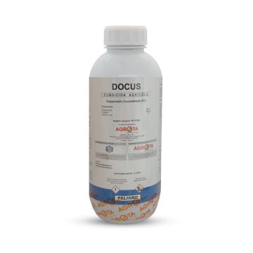 Docus