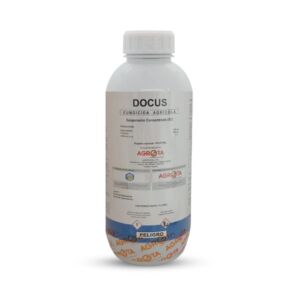 Docus