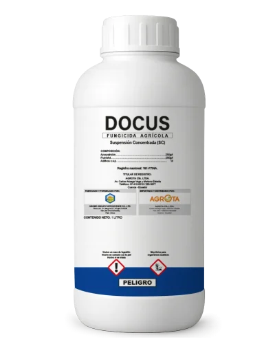 Docus