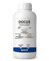 Docus