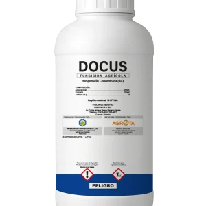 Docus
