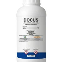 Docus