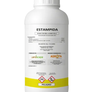 Estampida
