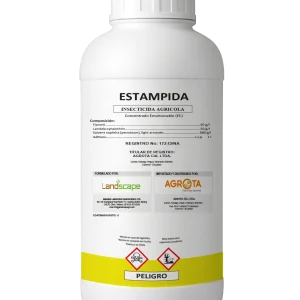 Estampida