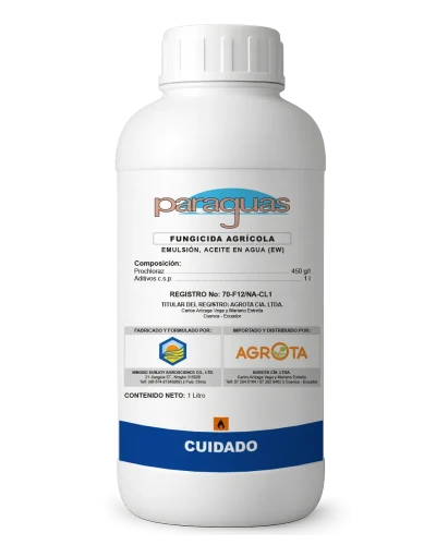 Paraguas