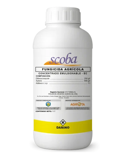 Scoba