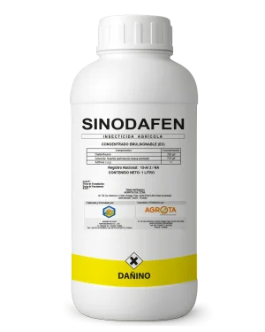 Sinodafen