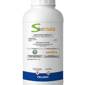 Skemata