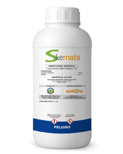 Skemata