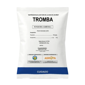 Tromba