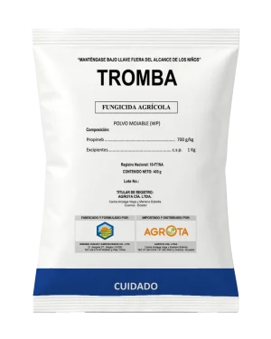 Tromba