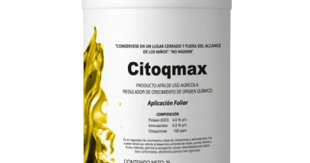 CITOQMAX 2026
