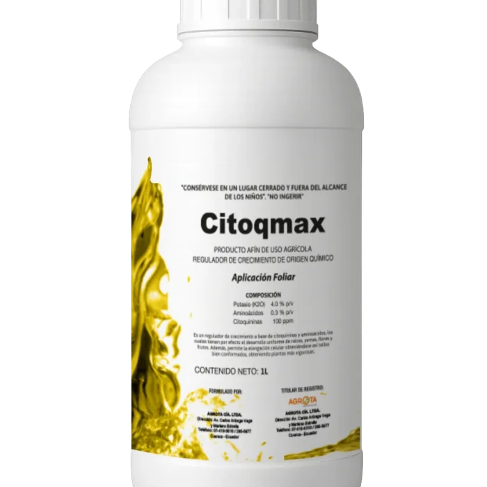 CITOQMAX 2026