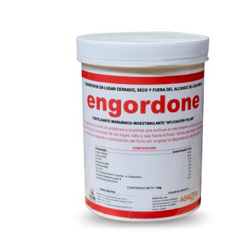 Engordone