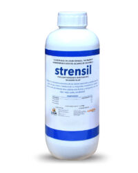 Strensil