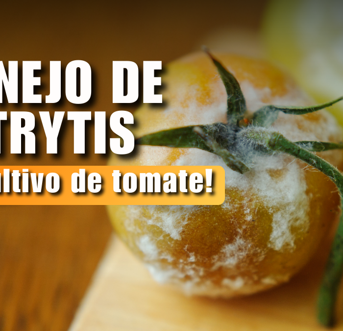 Manejo de Botrytis