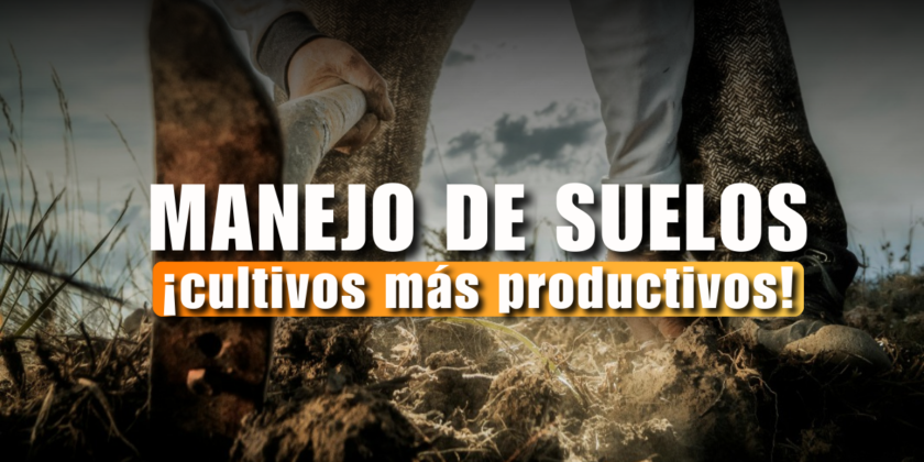 Manejo de Suelos para Obtener Cultivos Más Productivos