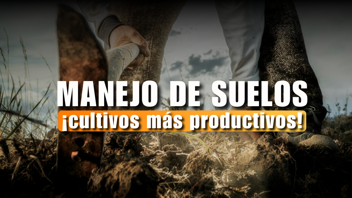 Manejo de Suelos para Obtener Cultivos Más Productivos