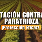 Rotación PARATRIOZA