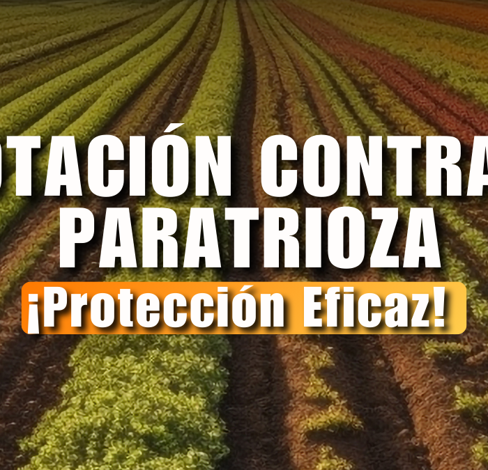 Rotación PARATRIOZA