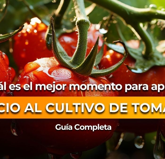 Portada Blog - Neosten tomate