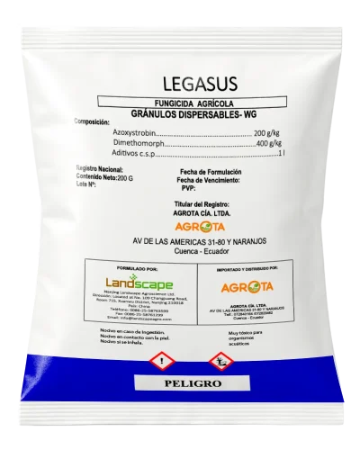LEGASUS