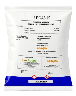 LEGASUS