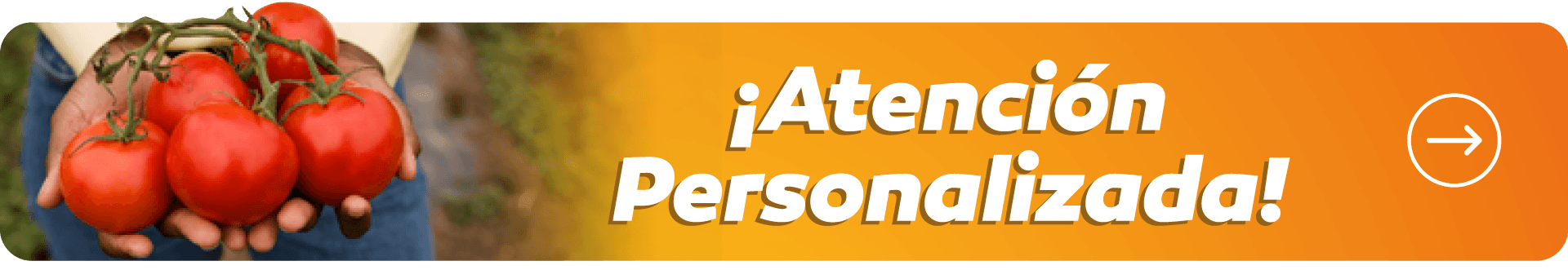 Atencion-personalizada