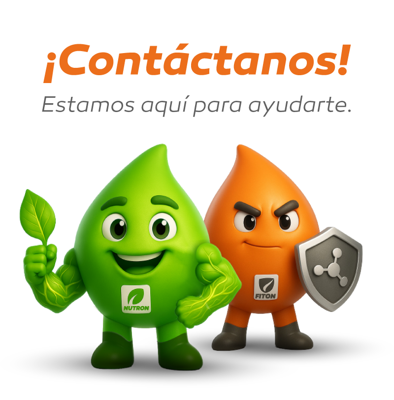 Contactanos