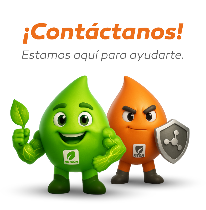 Contactanos