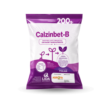 Calzinbet-B