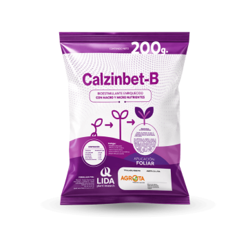 Calzinbet-B