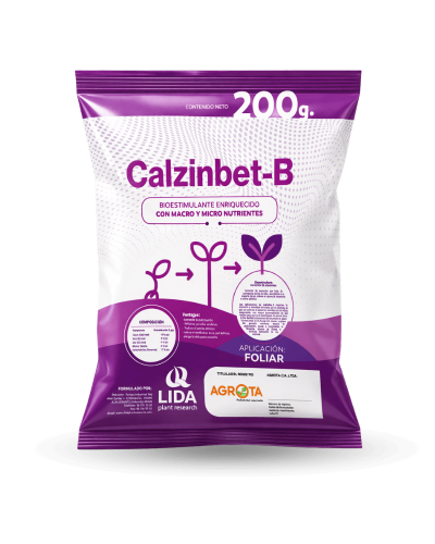Calzinbet-B