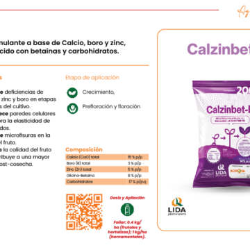 Calzinbet-B